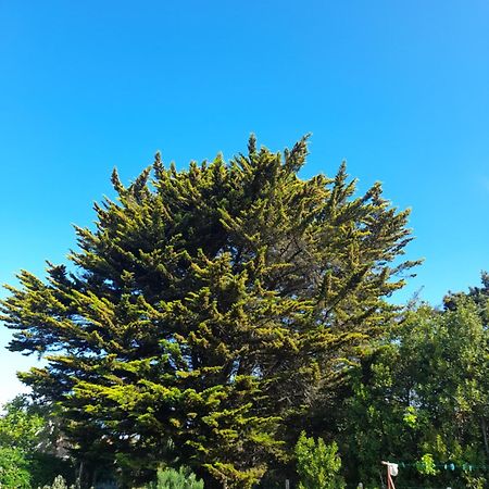 Ferienwohnung Le Stud' A Saint Pierre D'Oleron ! Zimmer foto