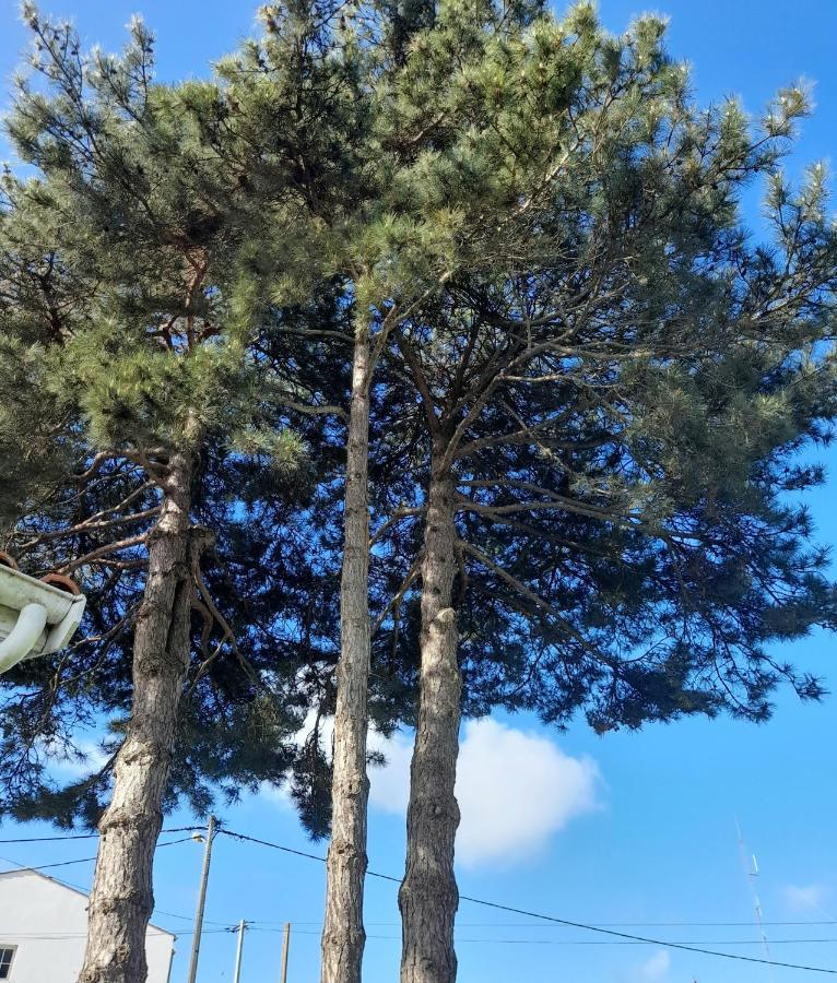 Ferienwohnung Le Stud' A Saint Pierre D'Oleron ! Exterior foto