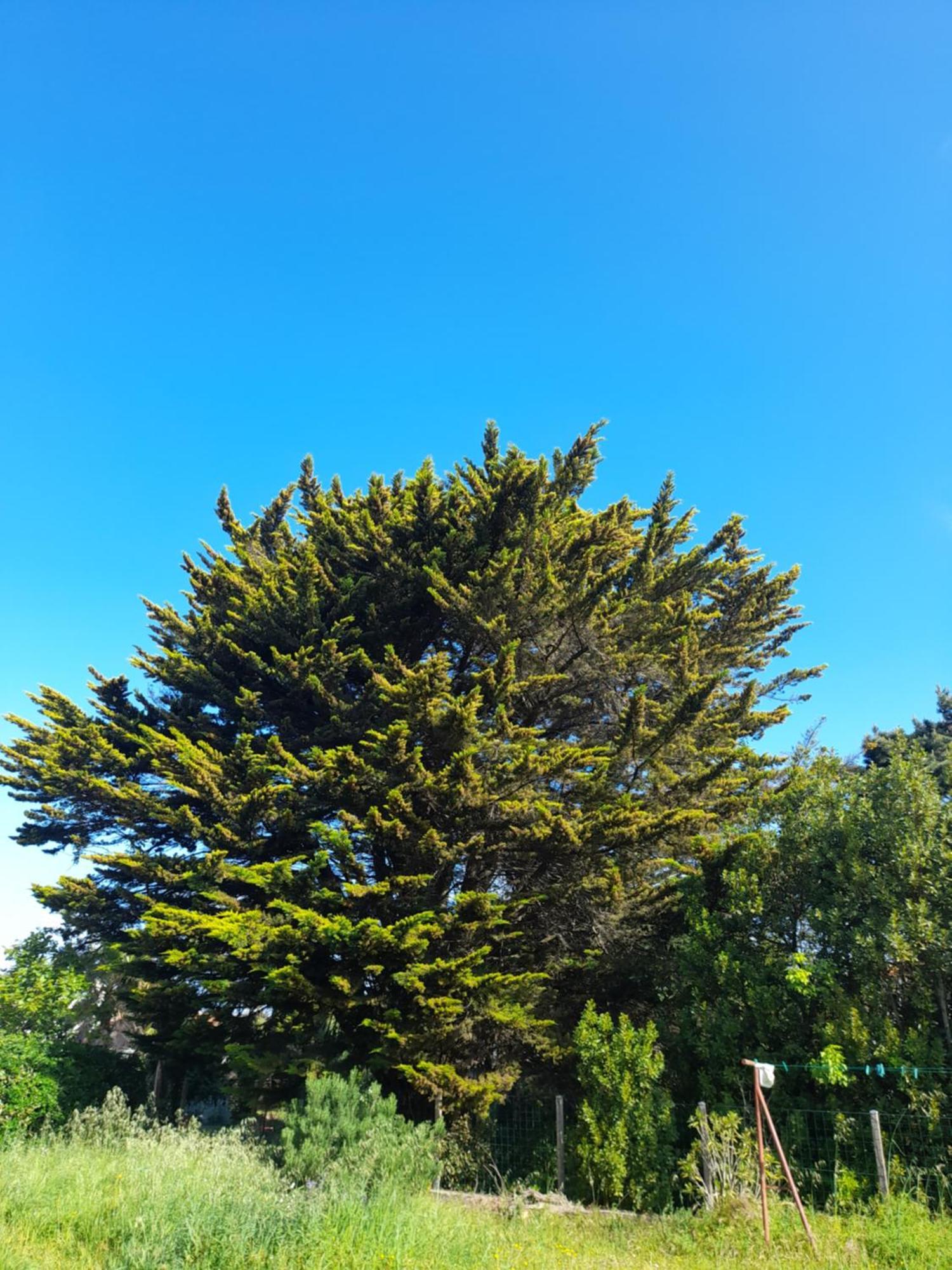 Ferienwohnung Le Stud' A Saint Pierre D'Oleron ! Zimmer foto